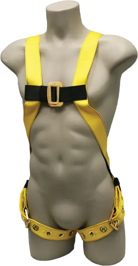 651_Front.webp