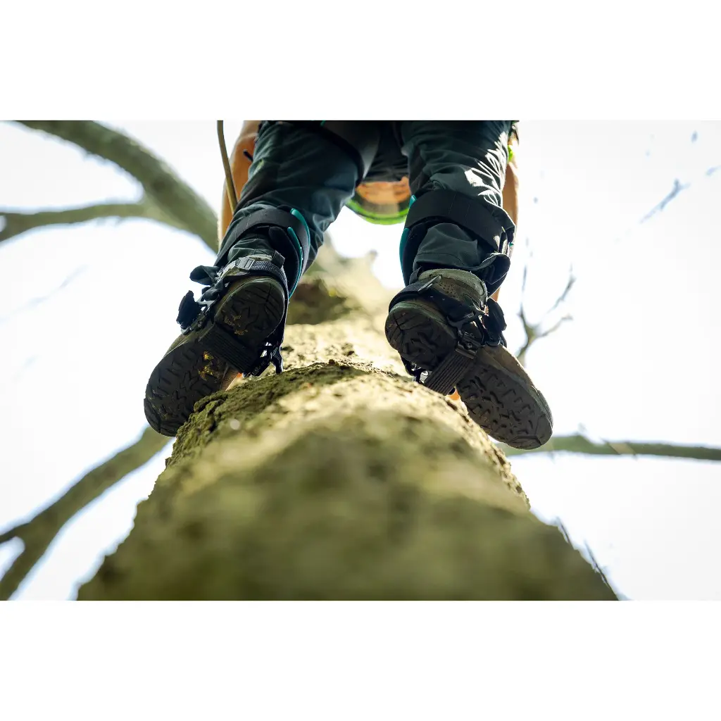 Notch Climbers_4.webp