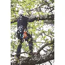 Notch Quick Cinch Chainsaw Lanyard_3.webp